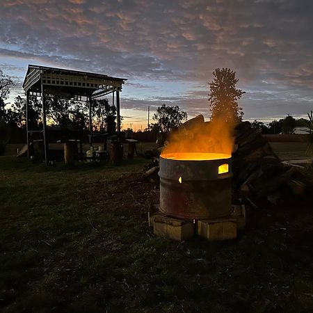 Silver Oaks Motel Gilgandra Dış mekan fotoğraf