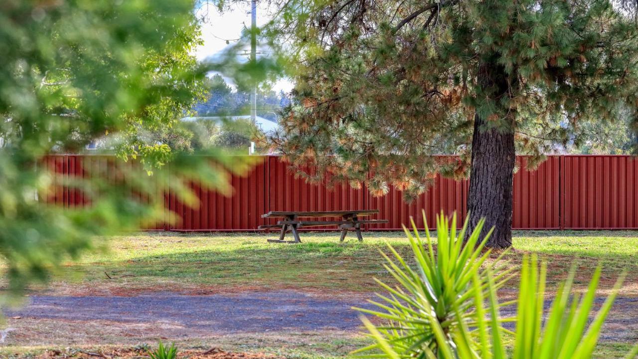 Silver Oaks Motel Gilgandra Dış mekan fotoğraf